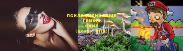 эйфоретик Алексин