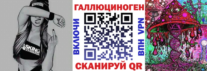 купить  цена  Наволоки  Псилоцибиновые грибы Psilocybine cubensis 